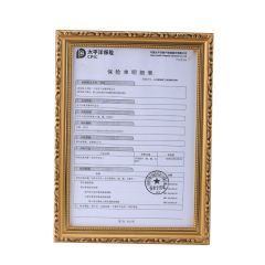 保险单明细表
